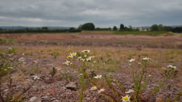 a photo showing the site of Pinhoe Quarry before redevelopment begins