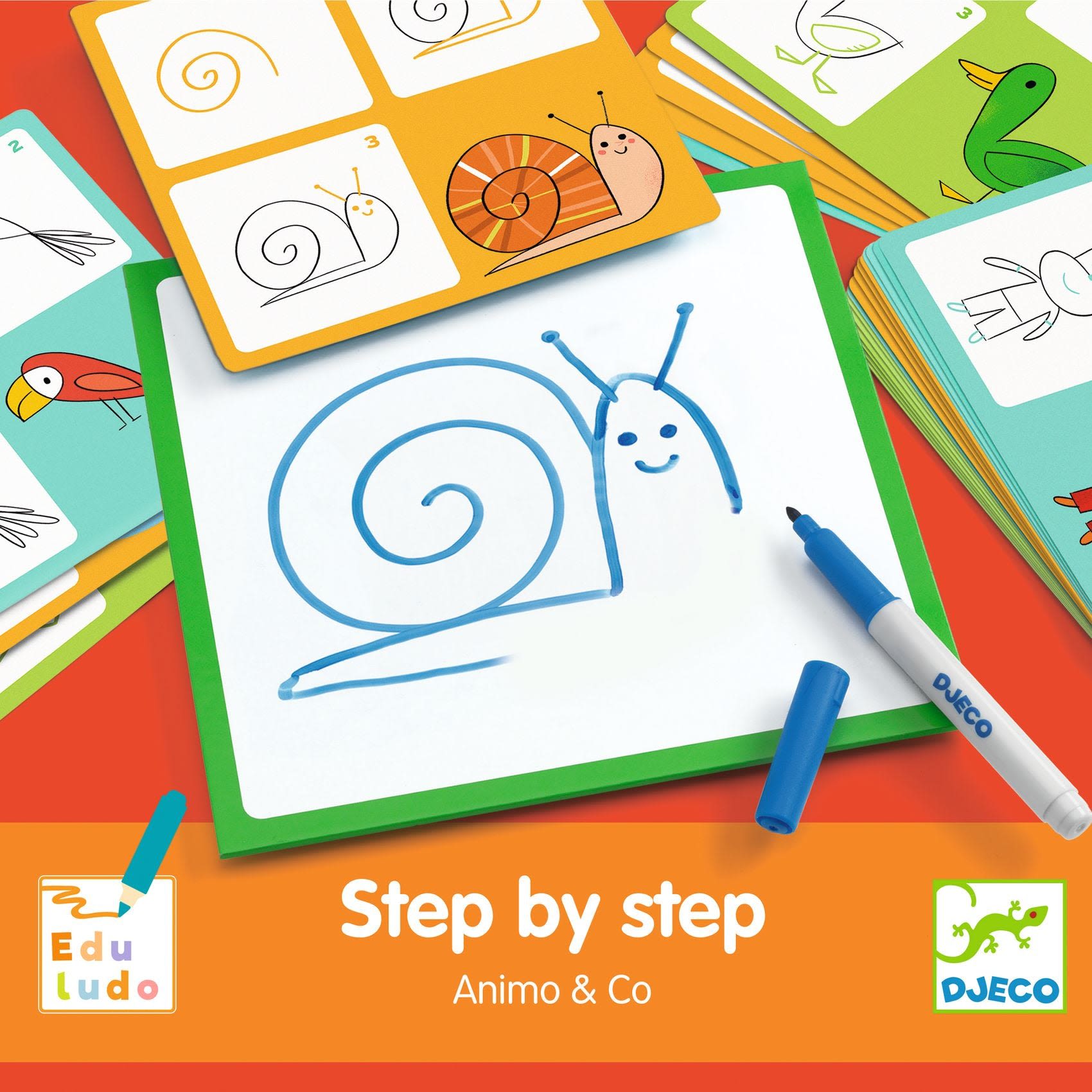 Step by step - Animals and Co *