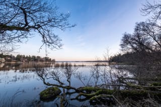 An evening on the Trälhavet shore