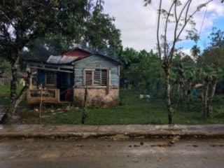 A weathered blue house with a rusty tin roof is surrounded by lush greenery, including trees and banana plants.