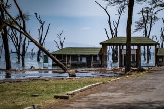 Photo of a park gateway porch drowned in lake water