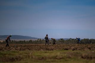 Hard manual work in the fields