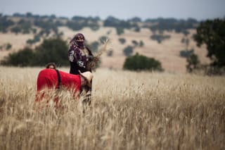 Two moroccan women harvesting wheat in a field with trees in the background. The woman in the foreground is bending over, while the other stands holding a bundle of wheat and smiling.