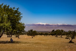 A person sitting under a tree in a field with scattered trees and a backdrop of snow-capped mountains under a clear blue sky.