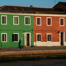 A person dressed in green jogs past a green house along a waterfront.