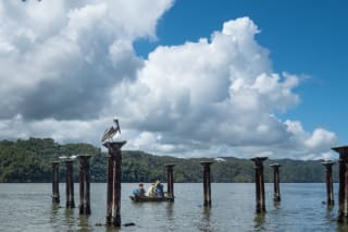 A scenic view of a calm waterway featuring several wooden columns, with a pelican perched on one. In the foreground, three men are seated in a small boat.