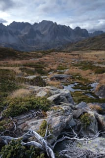 A rocky alpine landscape with a stream, sparse vegetation, and rugged mountains in the background under a cloudy sky.