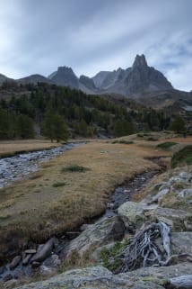 Mountain landscape with a stream, weathered dwarf juniper roots in the foreground, pine trees and jagged peaks under a cloudy sky