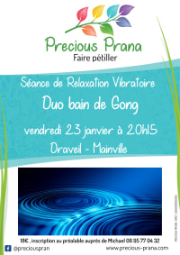 Duo Bain de Gong à Draveil le 23 janvier 2026, par Precious Prana