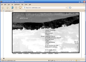 Le site de Cédric Hoizey. <http://www.cedrichoizey.com/>