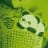 little pander avatar