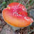 ellianoa avatar