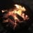James Burke avatar