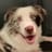Steven Jarvis avatar