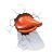 Wildduck avatar