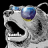 Fred / Ramou avatar