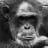 nicod@diaspodon.fr avatar