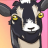 Andy P avatar