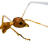 Jim avatar