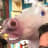 🦄 bredele avatar