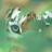 tigersway.net avatar