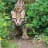 Ozzelot :anarchy: :linux: avatar