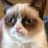 Phil avatar