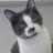 kat avatar