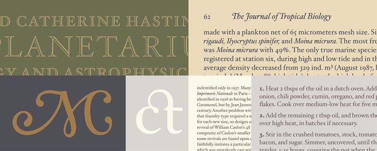 Un aperçu de la fonte Hoefler Text