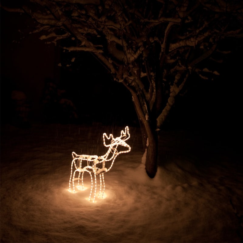 Bambi