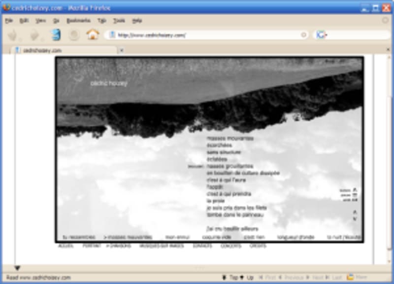 Le site de Cédric Hoizey. <http://www.cedrichoizey.com/>
