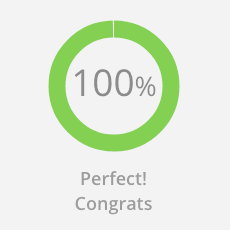 100 % in Dareboost on the homepage of my site