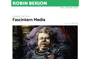 Screenshot of “Fascintern Media”