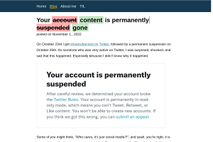 Screenshot of “Your account is permanently suspended”