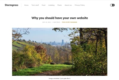 screenshot of Why you should have your own website