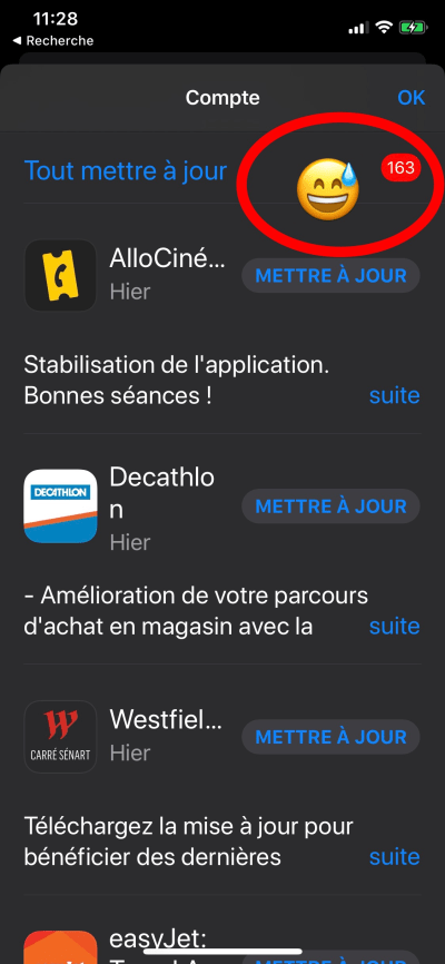 Screenshot of iOS listing available app updates
