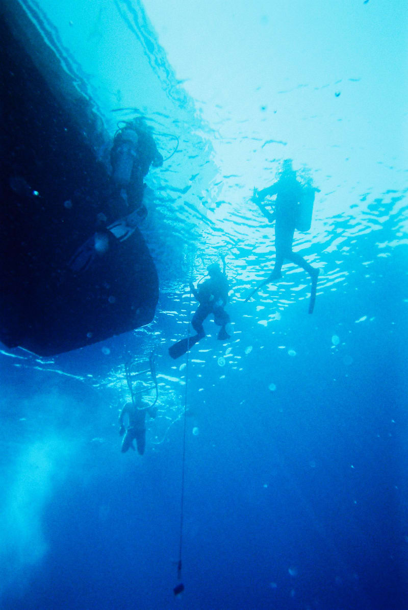 A group of divers in th sea under a boat