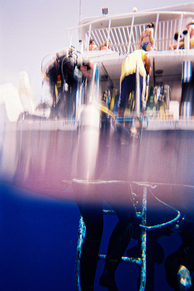 A photo showing both above and bellow the sea surface