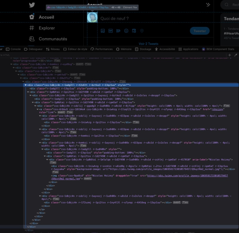 A screenshot of the avatar's DOM