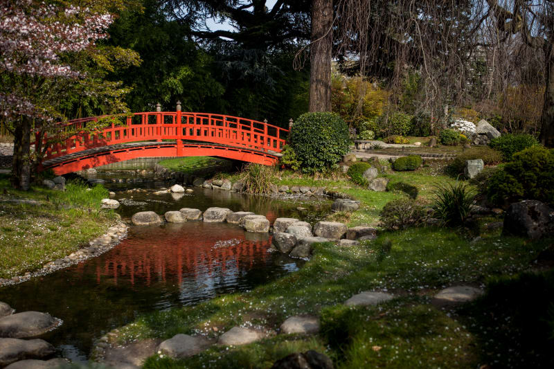 Photo of a red wooden bridge over an artificial river, in a Japanese garden