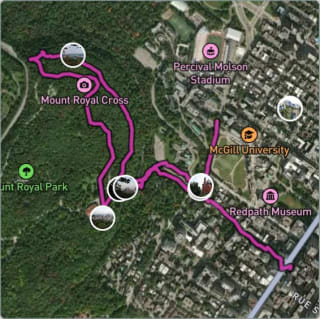 Carte de l'activité Balade au parc du Mont-Royal