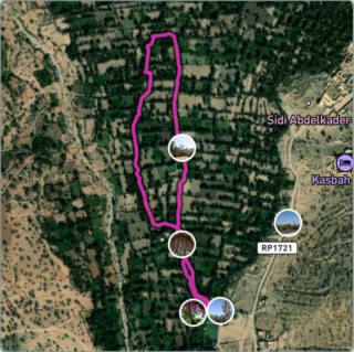 Carte de l'activité Balade dans la palmeraie de Tiout