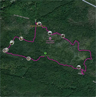 Carte de l'activité Tour des Gorges d'Apremont en forêt de Fontainebleau