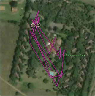 Carte de l'activité Installation au Flamingo Hill Camp