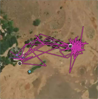 Carte de l'activité Journée et nuit au Salt Lick Safari Lodge