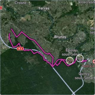 Carte de l'activité La forêt ne voulait pas de moi ! 😭