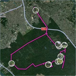 Carte de l'activité En quête de fraîcheur et squadratinhos dans la forêt