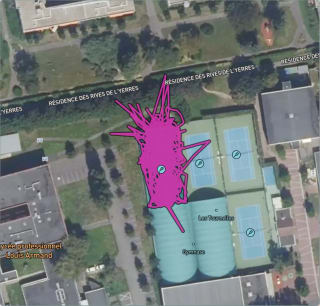 Carte de l'activité Entraînement mi-figue mi-raisin