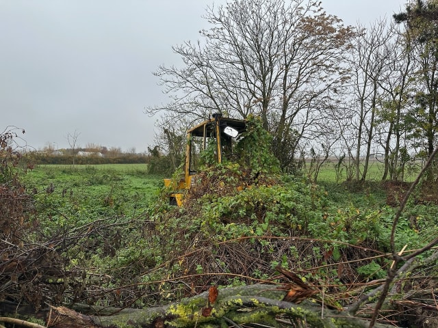 Un engin de chantier jaune très abimé et recouvert de ronces