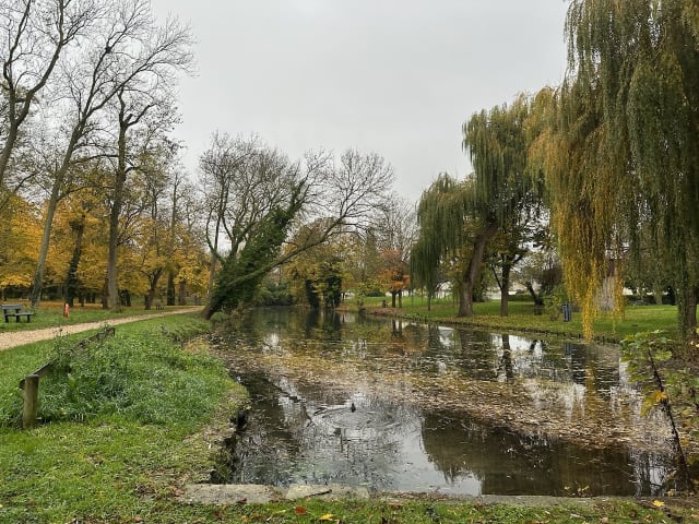 Un étang dans un parc à Wissous